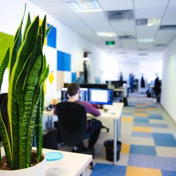 Arnia_software_office_6