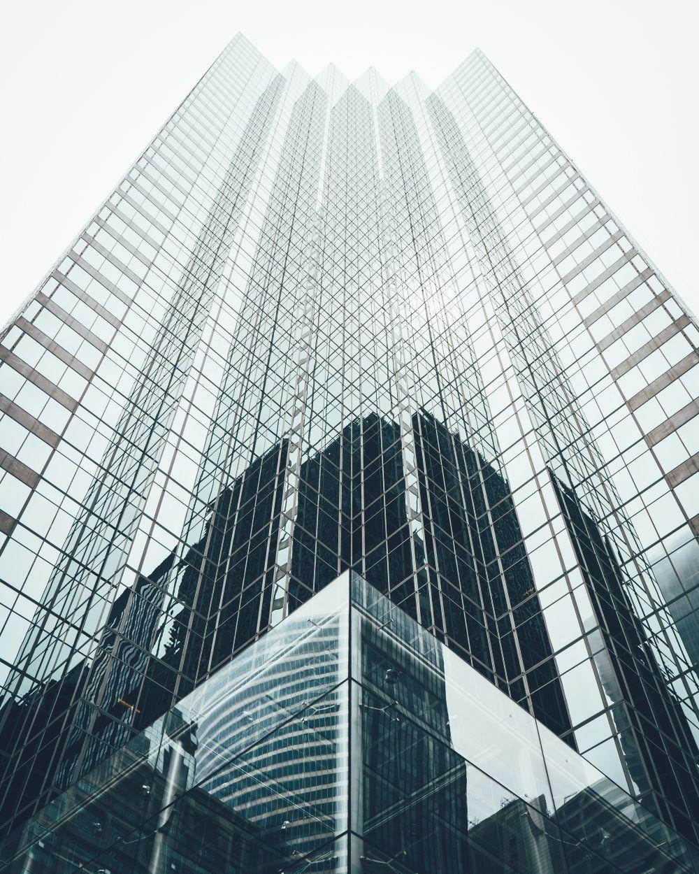 Nearshore software development facilitates business communication