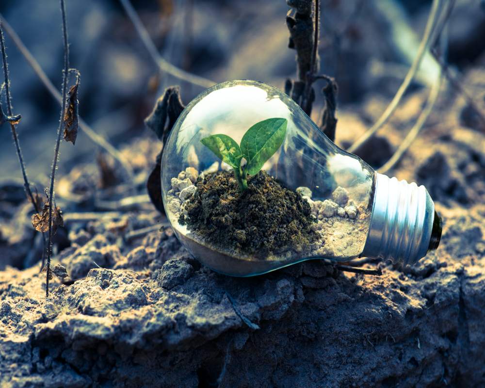 Sustainable Technology Technological Sustainability and Enhanced Customer Experience Go Hand in Hand