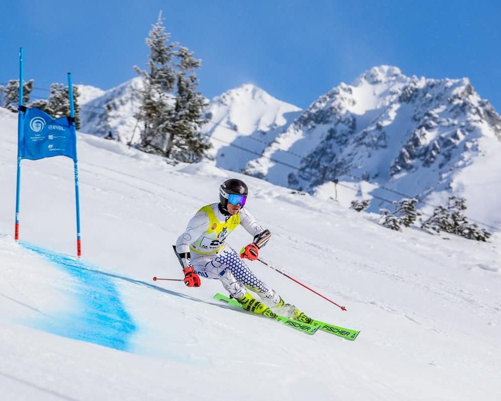 Empowering Excellence – Arnia Software Partners with Andrei Tudor Stanescu